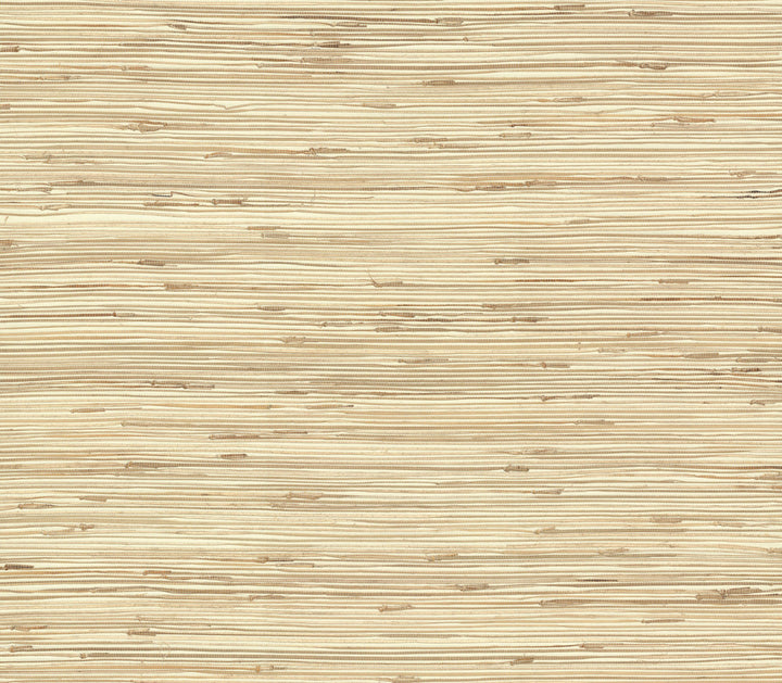 River Grass Beige Wallpaper by York Wallcoverings Grasscloth II Covers about 72 square feet 36-in by 24-ft long roll Unpasted 0 - Fabric Carolina -