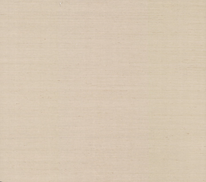 Sisal Grasscloth Grey & Taupe Wallpaper by York Wallcoverings Blooms Covers about 72 square feet 36-in by 24-ft long roll Unpasted 0 - Fabric Carolina -