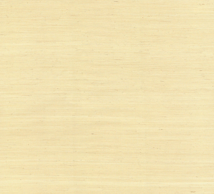 Jute Beige Wallpaper by York Wallcoverings Grasscloth II Covers about 72 square feet 36-in by 24-ft long roll Unpasted 0 - Fabric Carolina -