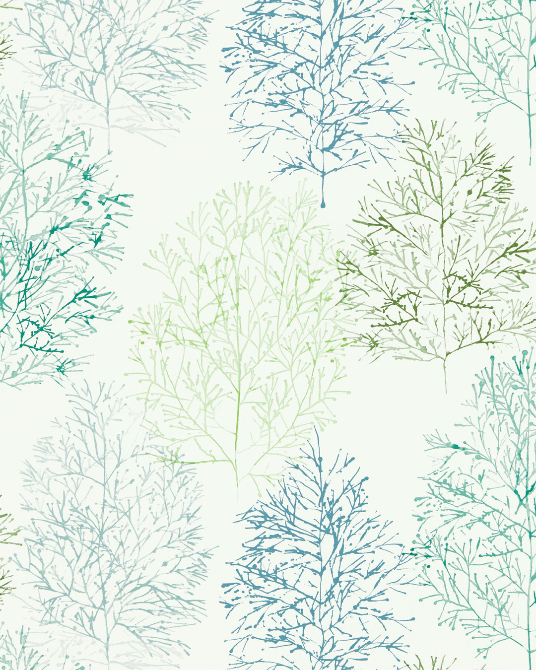 Kiwi/Slate By Scion Wallcovering