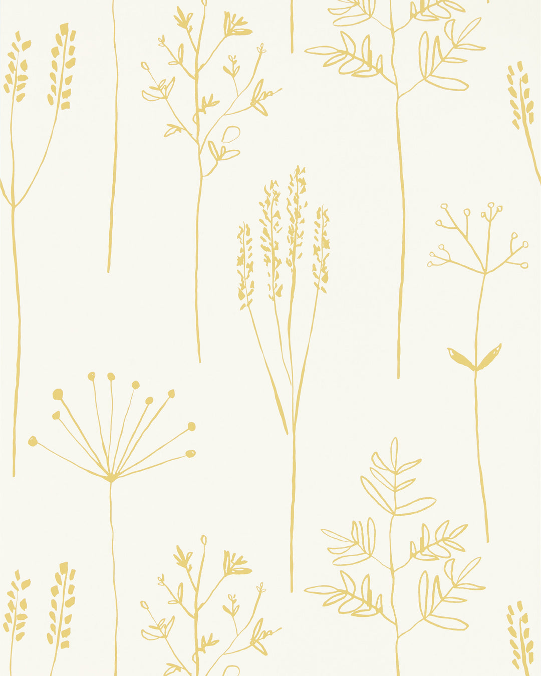 Honey By Scion Wallcovering