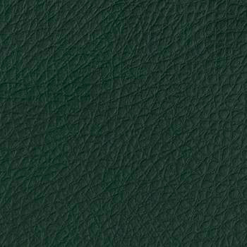 Nauga-Leather Forest MI 2414 by Naugahyde Fabric our website for purchase 100% Vinyl USA or Asia Water-based cleaning agents and foam may be used for cleaning. Cleaning by a professional cleaning service is recommended. Horizontal: - and Vertical: - 54" - Fabric Carolina -