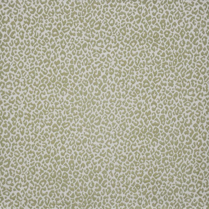 Osbourne # 247 Fern by Maxwell Fabric Upholstery Palettes-Laguna 75% RAYON/25% POLYESTER CHINA V-7"H-14" 56" - Fabric Carolina -