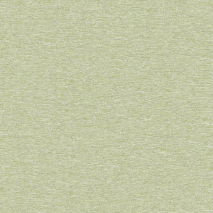 Orion(New) # 246 Pear by Maxwell Fabric Blackout Ii FACE: 100% POLYESTER
BACKING: 100% ACRYLIC CHINA 55" - Fabric Carolina -