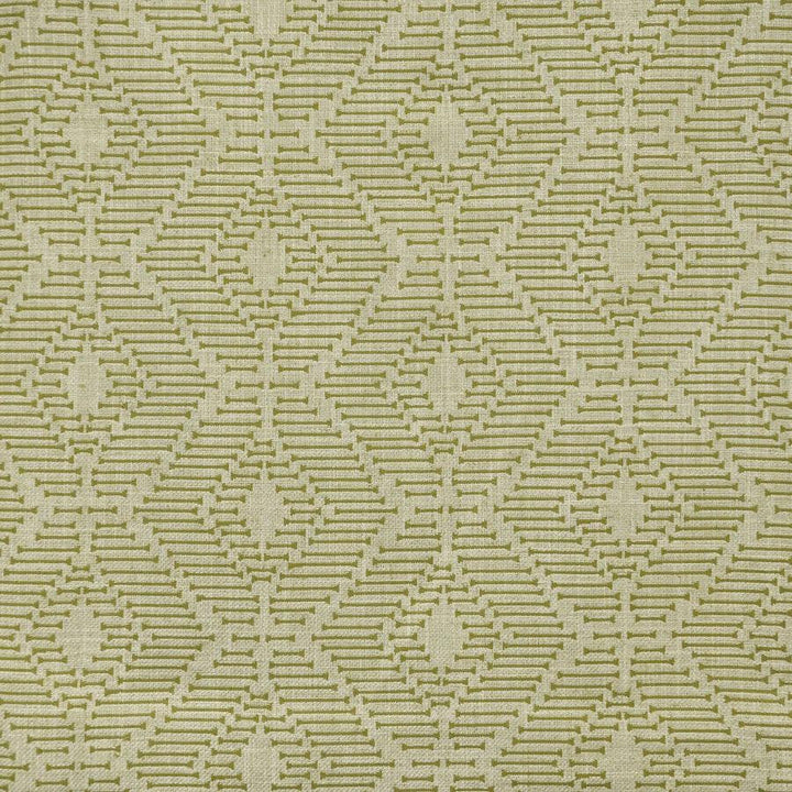 Orapa # 316 Olive by Maxwell Designer Fabric Color Theory-Vol.Vii Jungle Room 49% POLYESTER
45% COTTON
6% LINEN INDIA V-4.75" H-6.75" W: 56" - Swanky Fabrics -