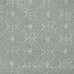 Orapa # 329 Beetle by Maxwell Fabric
