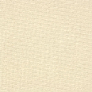 Oakley 13 Ecru by Stout Fabric