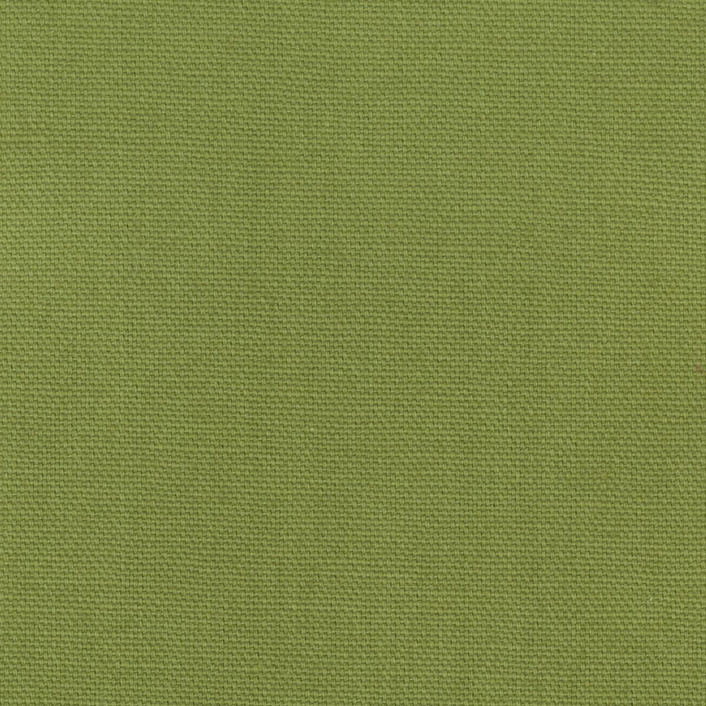 Oakley 19 Lime by Stout Fabric FAIRWIND CANVAS 100%COT INDIA WYZENBEEK 50 000 DOUBLE RUB WEAR TEST (HEAVY DUTY) </p><p>Repeat: 0 56 in - Fabric Carolina -