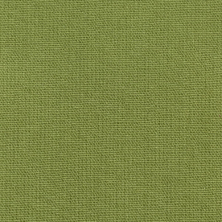 Oakley 19 Lime by Stout Fabric FAIRWIND CANVAS 100%COT INDIA WYZENBEEK 50 000 DOUBLE RUB WEAR TEST (HEAVY DUTY) </p><p>Repeat: 0 56 in - Fabric Carolina -