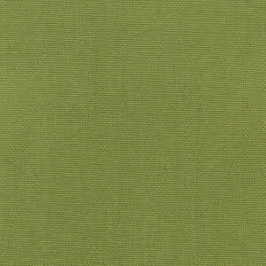 Oakley 19 Lime by Stout Fabric
