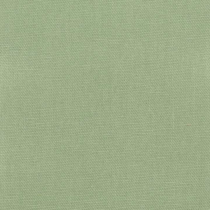Oakley 1 Aloe by Stout Fabric Stout Fabric Oakley 1 AloeFabric FAIRWIND CANVAS 100%COT INDIA </p><p>Repeat: H: 0.000, V: 0.000 56 in - Fabric Carolina -