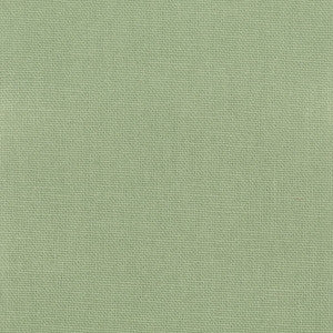 Oakley 1 Aloe by Stout Fabric