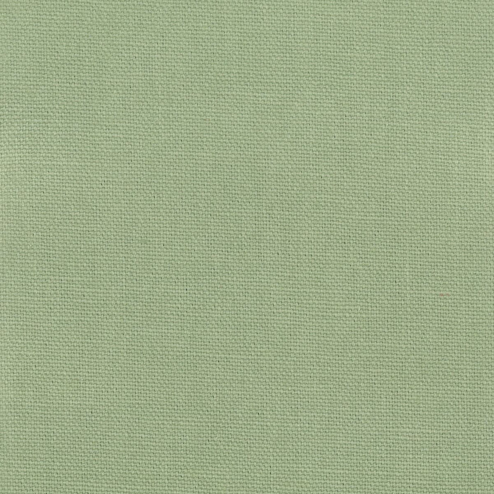 Oakley 1 Aloe by Stout Fabric Stout Fabric Oakley 1 AloeFabric FAIRWIND CANVAS 100%COT INDIA </p><p>Repeat: H: 0.000, V: 0.000 56 in - Fabric Carolina -