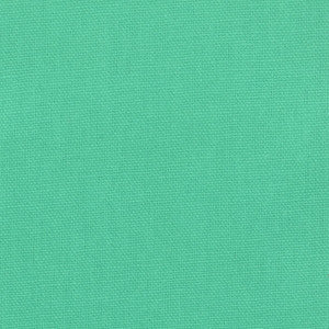 Oakley 36 Turquoise by Stout Fabric