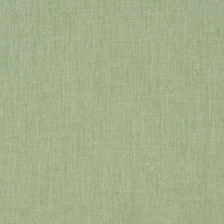 Oakville 75J7031 by JF Crypton Fabric Crypton Binder 100% Polyester Taiwan 50000 Horizontal: and Vertical: 54 - Fabric Carolina -