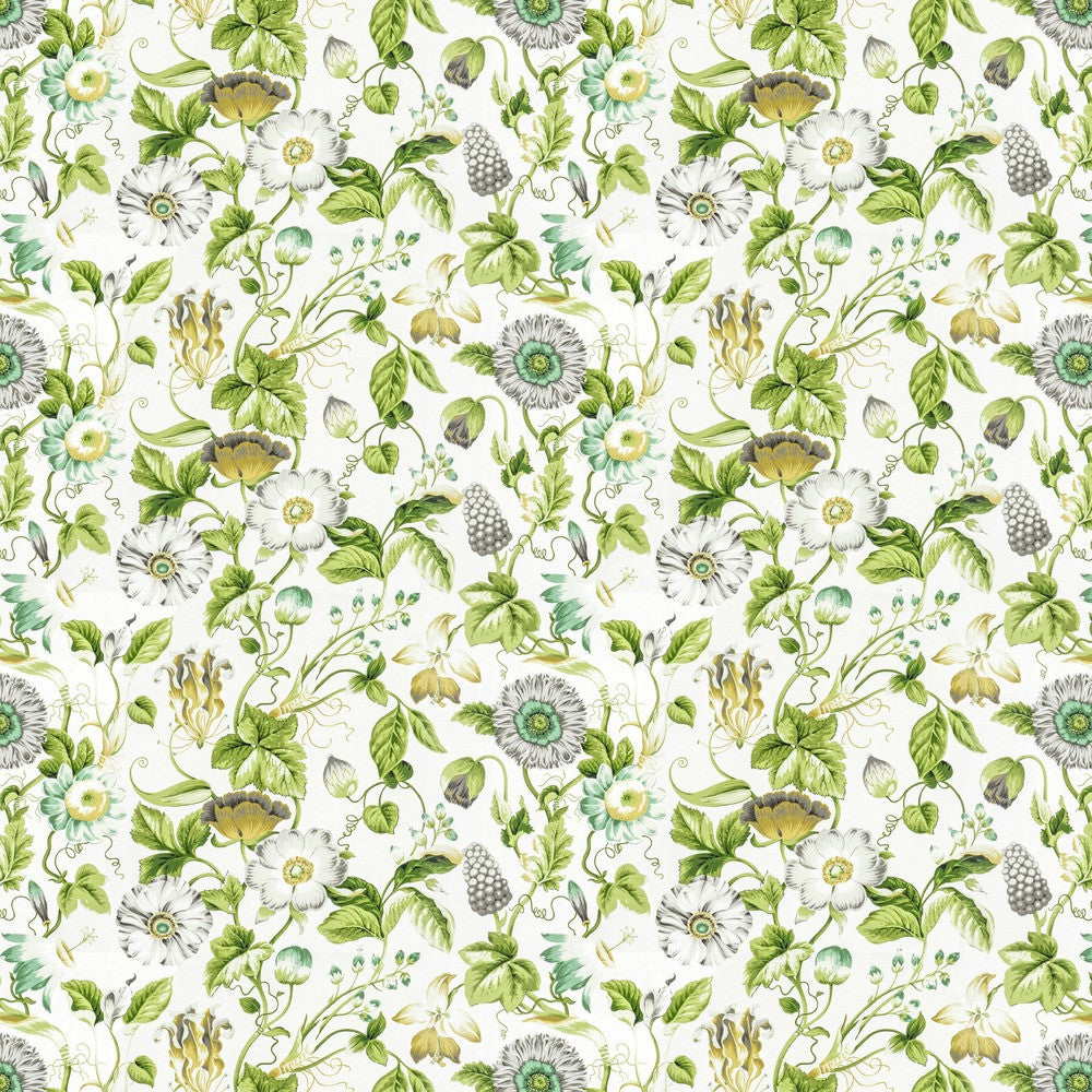 Obtuse 1 Jungle by Stout Fabric RAINBOW LIBRARY SPRING/EVERGREEN 100%COT PERU FLAME RETARDANT-U.F.A.C. CLASS 1 FLAME RETARDANT-N.F.P.A. 260A CLASS 1 WYZENBEEK 9 000 DOUBLE RUB WEAR TEST (MEDIUM DUTY) Horizontal: 27.000 and Vertical: 18.000 54 in - Fabric Carolina -