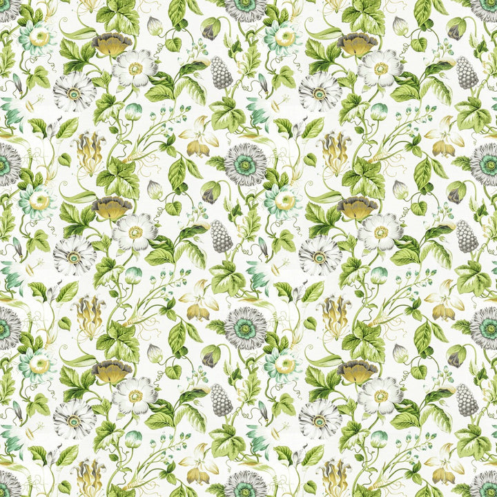 Obtuse 1 Jungle by Stout Fabric RAINBOW LIBRARY SPRING/EVERGREEN 100%COT PERU FLAME RETARDANT-U.F.A.C. CLASS 1 FLAME RETARDANT-N.F.P.A. 260A CLASS 1 WYZENBEEK 9 000 DOUBLE RUB WEAR TEST (MEDIUM DUTY) Horizontal: 27.000 and Vertical: 18.000 54 in - Fabric Carolina -