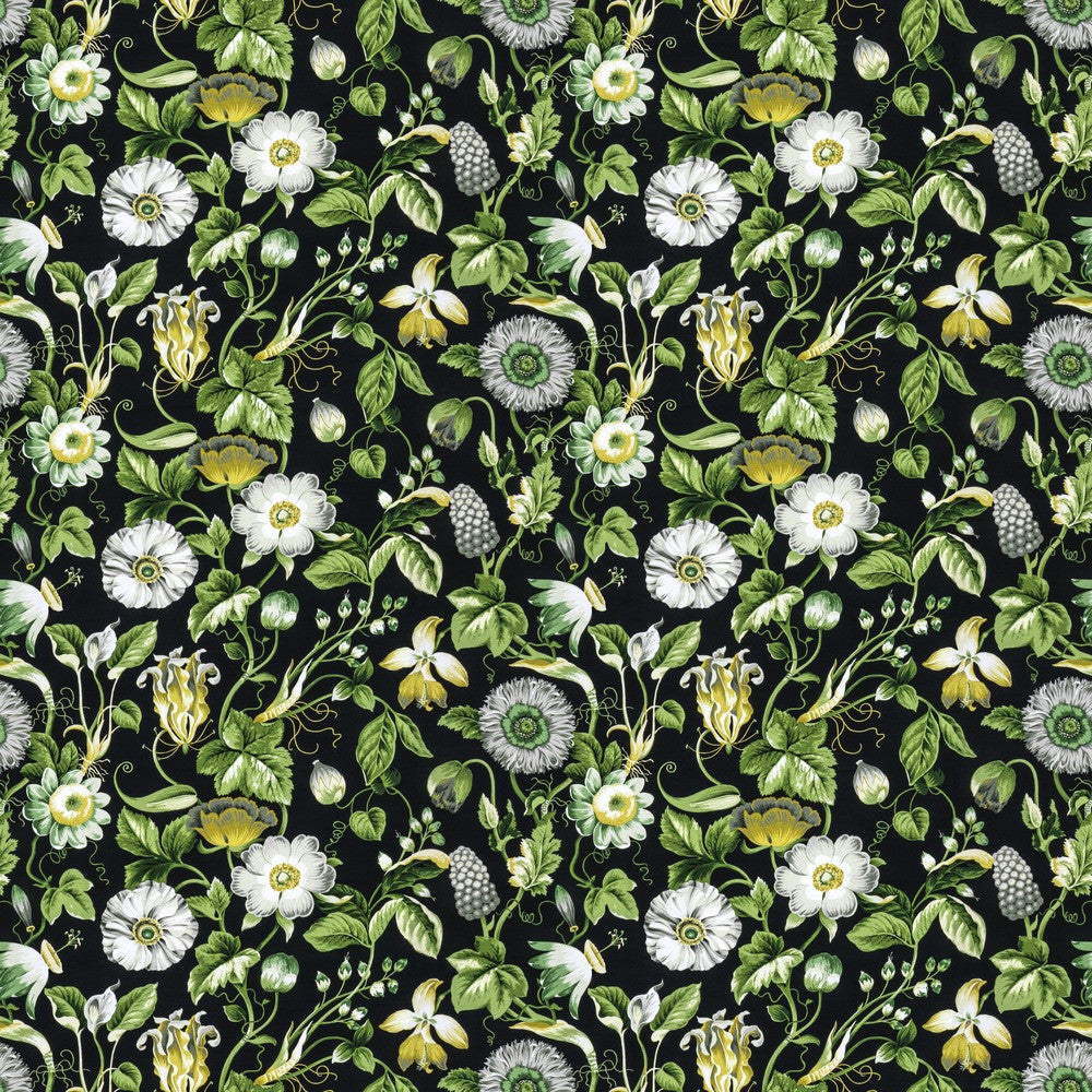 Obtuse 4 Black by Stout Fabric RAINBOW LIBRARY FOG/COAL 100%COT PERU Horizontal: 27.000 and Vertical: 18.000 54 in - Fabric Carolina -