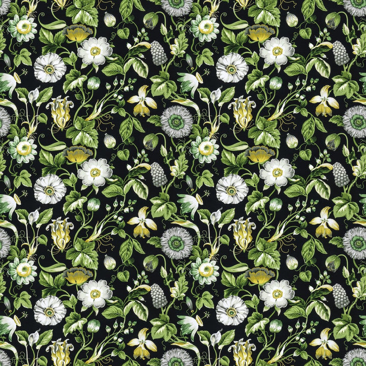Obtuse 4 Black by Stout Fabric RAINBOW LIBRARY FOG/COAL 100%COT PERU Horizontal: 27.000 and Vertical: 18.000 54 in - Fabric Carolina -