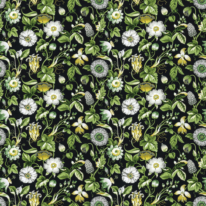 Obtuse 4 Black by Stout Fabric RAINBOW LIBRARY FOG/COAL 100%COT PERU FLAME RETARDANT-U.F.A.C. CLASS 1 CATB 117-2013 WYZENBEEK 20 000 DOUBLE RUB WEAR TEST (HEAVY DUTY) </p><p>Repeat: 18 54 in - Fabric Carolina -