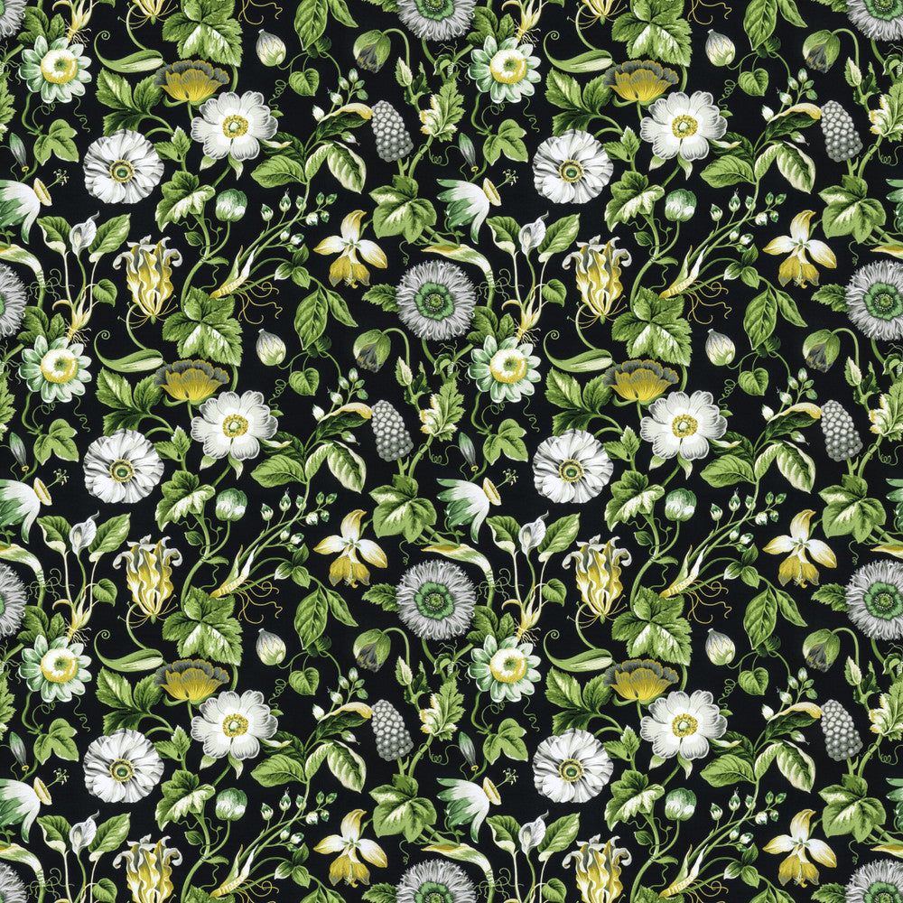 Obtuse 4 Black by Stout Fabric Stout Fabric Obtuse 4 BlackFabric RAINBOW LIBRARY FOG/COAL PERU </p><p>Repeat: H: 27.000, V: 18.000 54 in - Fabric Carolina -