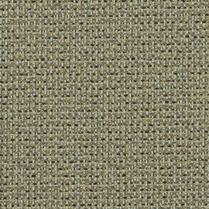 Od-Nev Buckeye by Magnolia Fabric