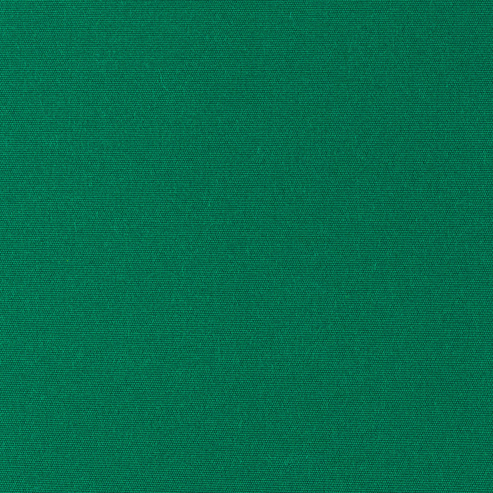 Od-Vilmer Green by Magnolia Fabric - 100% Solution Dyed Acrylic Mexico 15000 Horizontal: 0 and Vertical: 0 60" - Fabric Carolina -