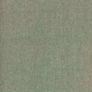 Od-Waka Flint by Magnolia Fabric