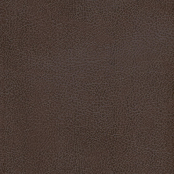Odean 1 Java by Stout Fabric LEATHER LOOKS V 100%POU 100%OTH CHINA FLAME RETARDANT-CA BULLETIN 117-CLASS 1 WYZENBEEK 15 000 DOUBLE RUB WEAR TEST (HEAVY DUTY) CATB 117-2013 Horizontal: 0.000 and Vertical: 0.000 54 in - Fabric Carolina -