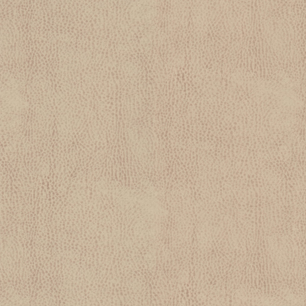 Odean 2 Shell by Stout Fabric LEATHER LOOKS V 100%POU 100%OTH CHINA FLAME RETARDANT-CA BULLETIN 117-CLASS 1 WYZENBEEK 15 000 DOUBLE RUB WEAR TEST (HEAVY DUTY) CATB 117-2013 Horizontal: 0.000 and Vertical: 0.000 54 in - Fabric Carolina -