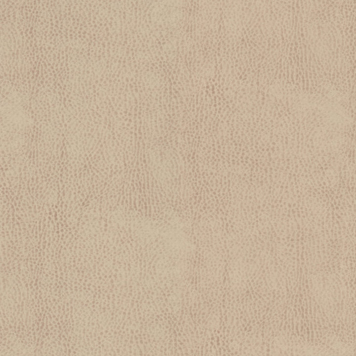 Odean 2 Shell by Stout Fabric LEATHER LOOKS V 100%POU 100%OTH CHINA FLAME RETARDANT-CA BULLETIN 117-CLASS 1 WYZENBEEK 15 000 DOUBLE RUB WEAR TEST (HEAVY DUTY) CATB 117-2013 Horizontal: 0.000 and Vertical: 0.000 54 in - Fabric Carolina -