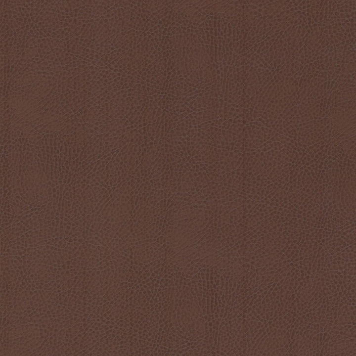 Odean 3 Rootbeer by Stout Fabric LEATHER LOOKS V 100%POU 100%OTH CHINA FLAME RETARDANT-CA BULLETIN 117-CLASS 1 WYZENBEEK 15 000 DOUBLE RUB WEAR TEST (HEAVY DUTY) CATB 117-2013 Horizontal: 0.000 and Vertical: 0.000 54 in - Fabric Carolina -
