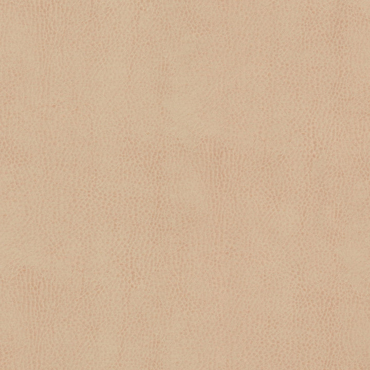 Odean 4 Sesame by Stout Fabric Stout Fabric Odean 4 SesameFabric LEATHER LOOKS V 100%POU 100%OTH CHINA </p><p>Repeat: H: 0.000, V: 0.000 54 in - Fabric Carolina -