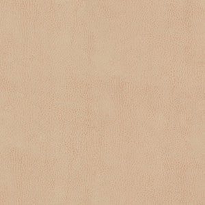 Odean 4 Sesame by Stout Fabric