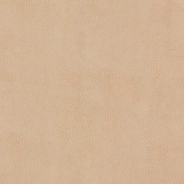 Odean 4 Sesame by Stout Fabric LEATHER LOOKS V 100%POU 100%OTH CHINA Horizontal: 0.000 and Vertical: 0.000 54 in - Fabric Carolina -
