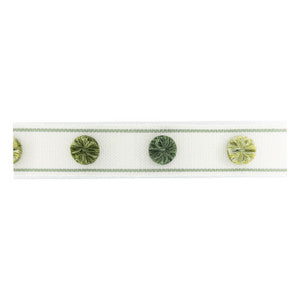 Odessa Tape 5 Avocado by Stout Trim