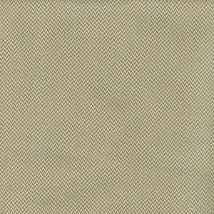 Odid-Turk Sugarcane by Magnolia Fabric