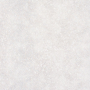 Kuiper Moon Dust by Old World Weavers Fabric