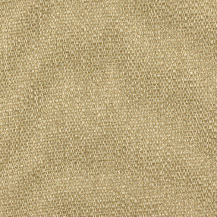 OFFICER 16J7351 by JF Designer Fabric Winning Weaves VI - Woven Book 100% Polyester India  Horizontal:  and Vertical:  57  - Swanky Fabrics -