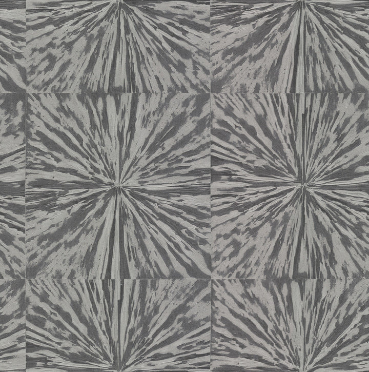Squareburst Charcoal Wallpaper by Antonina Vella Antonina Vella Elegant Earth Covers about 56.9 square feet 20.8-in by 32.8-ft long roll Unpasted 20.8 - Fabric Carolina -