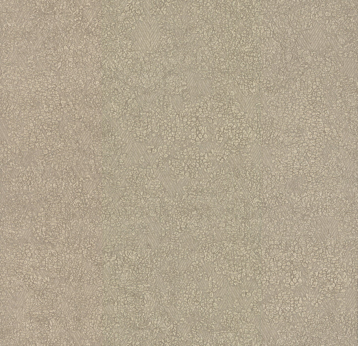 Weathered Beige Wallpaper by Antonina Vella Antonina Vella Elegant Earth Covers about 60.8 square feet 27-in by 27-ft long roll Unpasted 25.25 - Fabric Carolina -