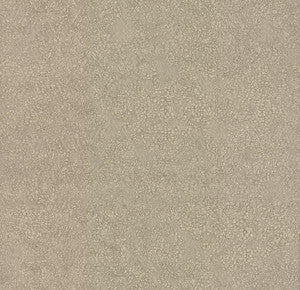 Weathered Beige Wallpaper by Antonina Vella