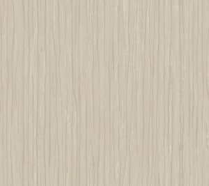 Temperate Veil Mushroom Wallpaper by Antonina Vella