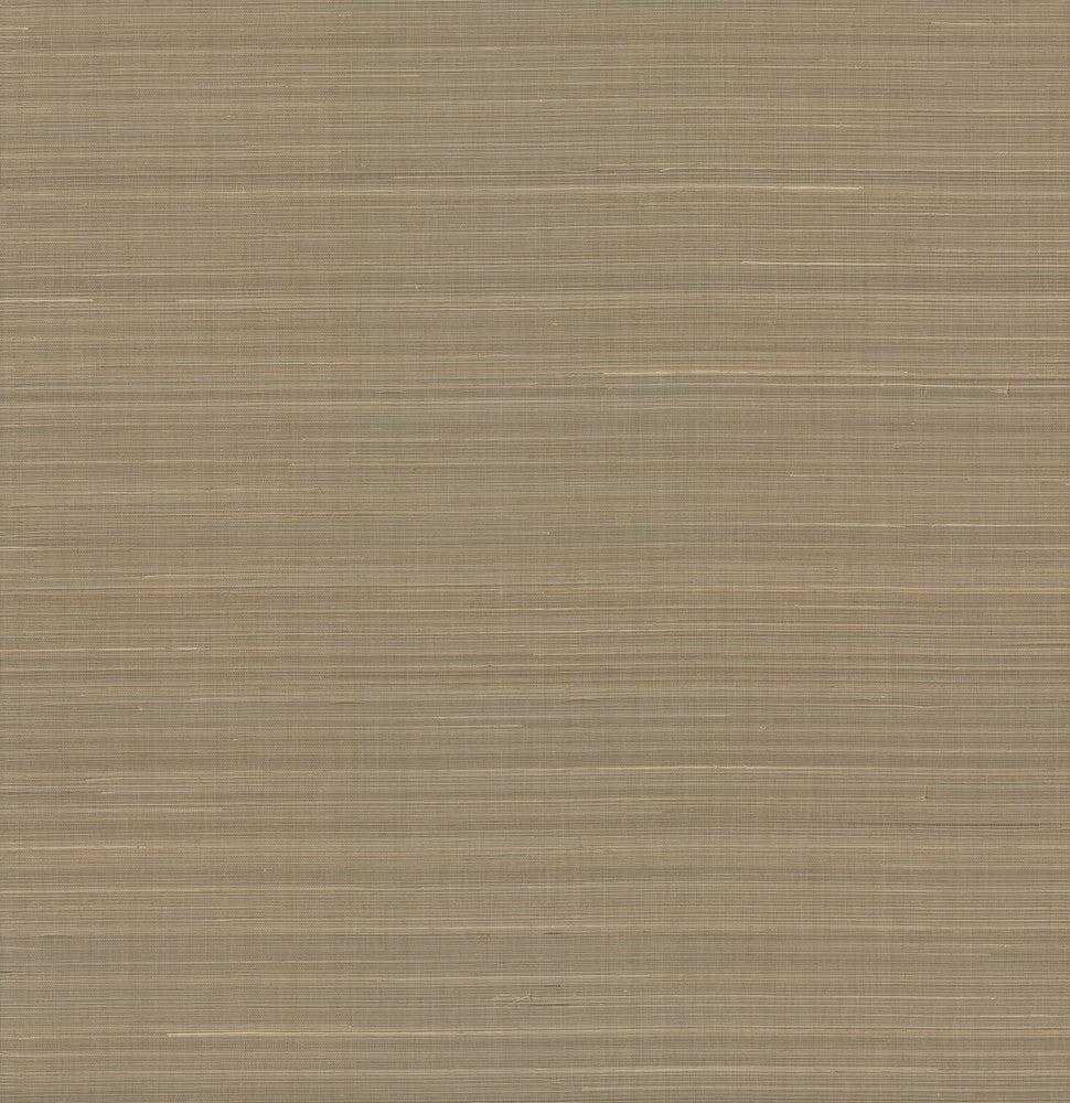 Abaca Weave Sand Wallpaper by Antonina Vella Antonina Vella Elegant Earth Covers about 72 square feet 36-in by 24-ft long roll Unpasted 0 - Fabric Carolina -