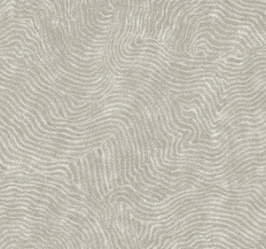 Modern Wood Grey Wallpaper by York Wallcoverings