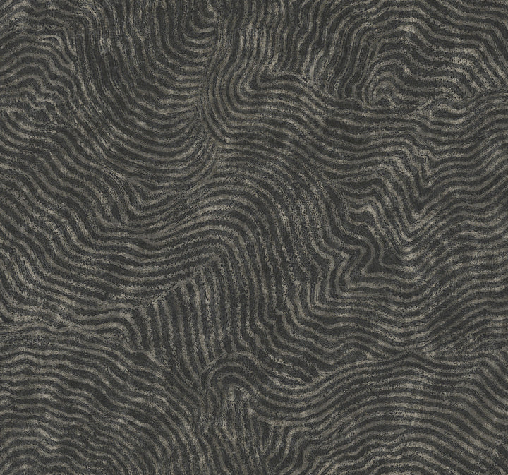 Modern Wood Black Wallpaper by York Wallcoverings New Origins Covers about 60.8 square feet 27-in by 27-ft long roll Unpasted 25.25 - Fabric Carolina -