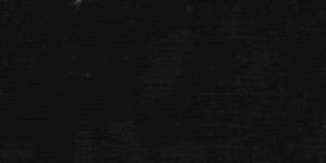 Okin Black by Norbar Designer Fabric OKIN 100% POLYESTER INDIA 54 - Swanky Fabrics -