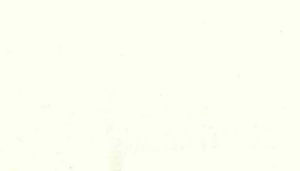 Okin Ivory by Norbar Designer Fabric OKIN 100% POLYESTER INDIA 54 - Swanky Fabrics -