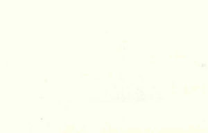 Okin Pearl by Norbar Designer Fabric OKIN 100% POLYESTER INDIA 54 - Swanky Fabrics -