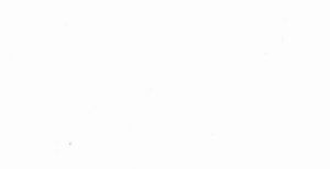Okin White by Norbar Designer Fabric OKIN 100% POLYESTER INDIA 54 - Swanky Fabrics -